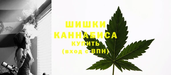 прущая мука Бородино