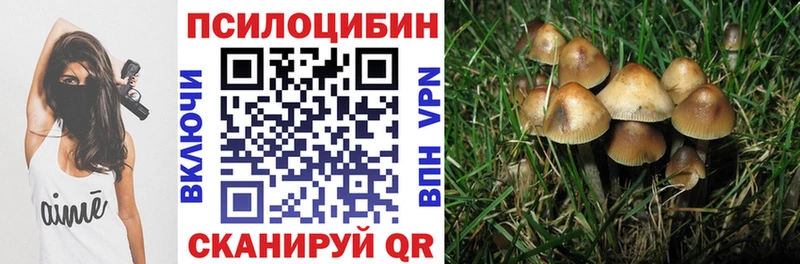 Галлюциногенные грибы мицелий  Меленки 